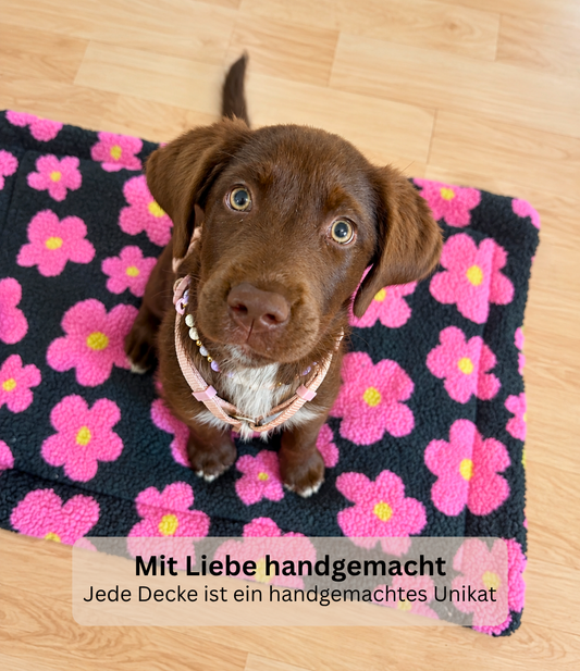 Hundedecke Flower