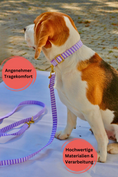 Bild in Galerie-Betrachter laden, Halsband "Loko"
